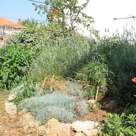 Apartamento By The Sea Tkon, Pasman - 8303