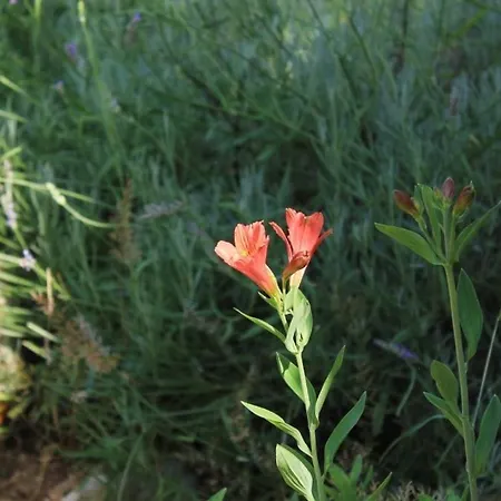 By The Sea Tkon, Pasman - 8303 Apartamento