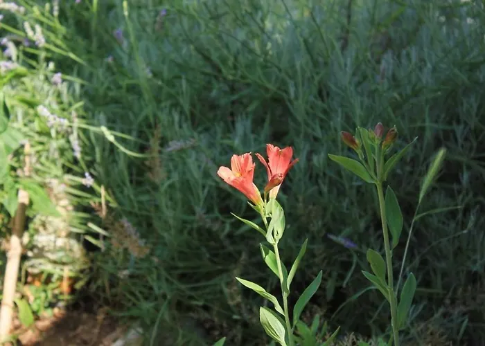 By The Sea Tkon, Pasman - 8303 Διαμέρισμα