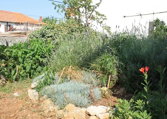 Apartman By The Sea Tkon, Pasman - 8303